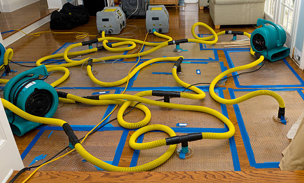 Professional Basement Flood Cleanup technician working in Bristow, VA